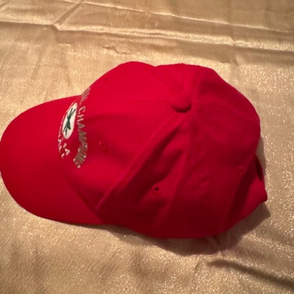 Ohio State Buckeyes 2014 National Champions Adjustable Hat - Red - Picture 7 of 9